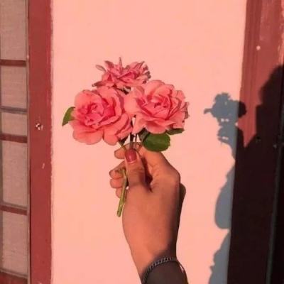 露娜幻想曲手游下载