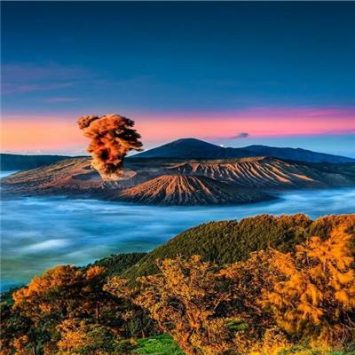 校花物语ol游戏下载